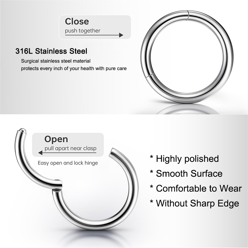 16G 316L Surgical Steel Hinged - Body Jewelry And Earrings 评论和价格