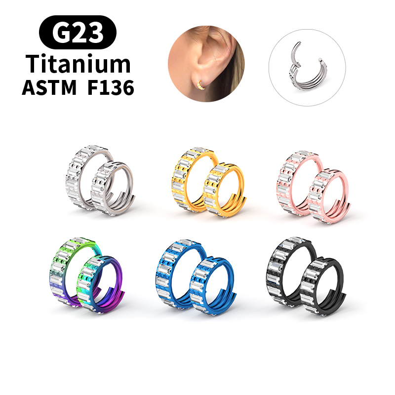 G23 Titanium Zircon Hinged Seg - Body Jewelry Nipple Rings 评论和价格