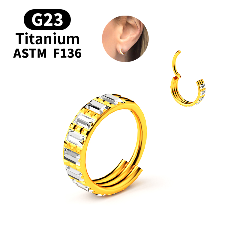 G23 Titanium Zircon Hinged Seg - Body Jewelry Nipple Rings 评论和价格