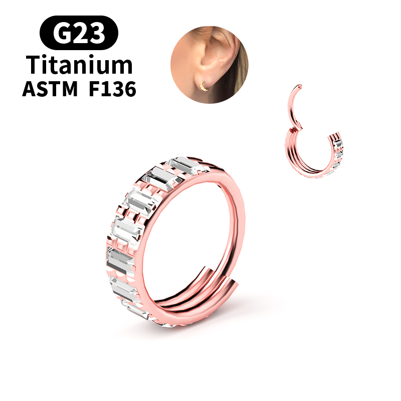 G23 Titanium Zircon Hinged Seg - Body Jewelry Nipple Rings 评论和价格