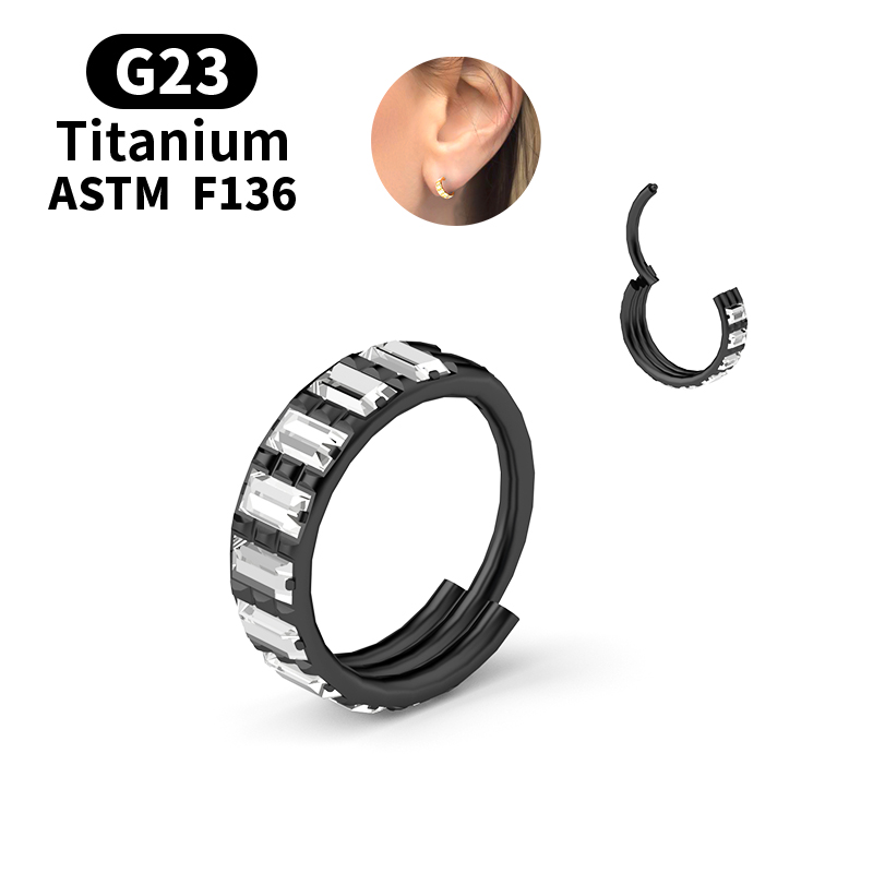 G23 Titanium Zircon Hinged Seg - Body Jewelry Nipple Rings 评论和价格